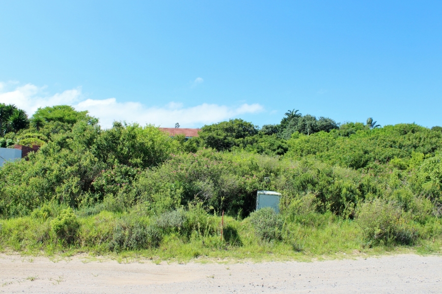 0 Bedroom Property for Sale in Forest Downs Eastern Cape